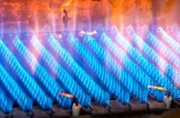 Cwmcoednerth gas fired boilers